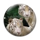 Cabochon Verre - tigre