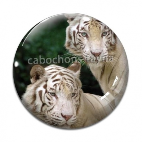 Cabochon Verre - tigre