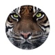 tigre