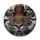 Cabochon Verre - tigre