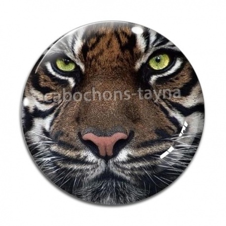 Cabochon Verre - tigre