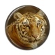Cabochon Résine - tigre
