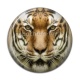 Cabochon Résine - tigre