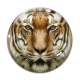 Cabochon Verre - tigre