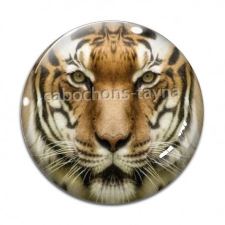 Cabochon Verre - tigre