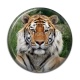 Cabochon Résine - tigre