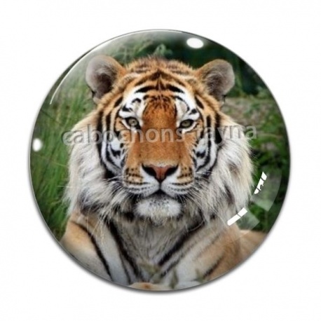 Cabochon Verre - tigre