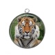 Pendentif Cabochon Argent - tigre