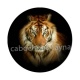 tigre