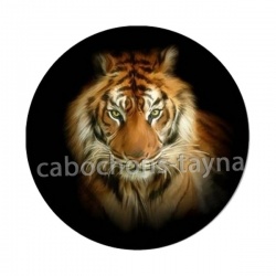 tigre