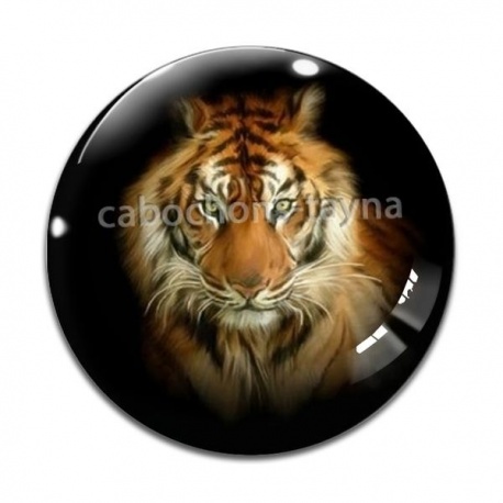 Cabochon Verre - tigre
