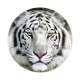 tigre
