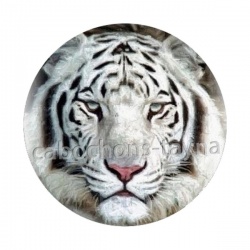 tigre
