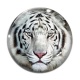 Cabochon Verre - tigre