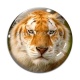 Cabochon Verre - tigre