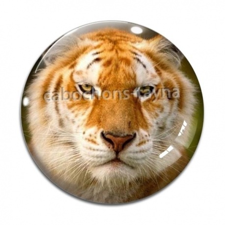 Cabochon Verre - tigre