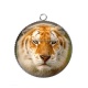 Pendentif Cabochon Argent - tigre