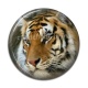 Cabochon Résine - tigre