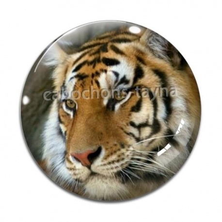 Cabochon Verre - tigre