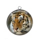 Pendentif Cabochon Argent - tigre