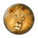 Cabochon Résine - lion