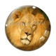 Cabochon Verre - lion