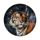tigre