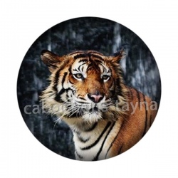 tigre