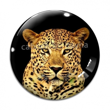 Cabochon Verre - léopard