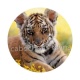 tigre