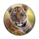 Cabochon Résine - tigre
