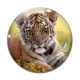 Cabochon Verre - tigre