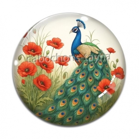 Cabochon Verre - paon