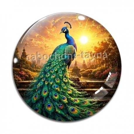 Cabochon Verre - paon