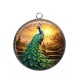 Pendentif Cabochon Argent - paon
