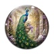 Cabochon Verre - paon