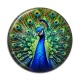 Cabochon Résine - paon