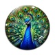 Cabochon Verre - paon