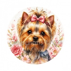 chien