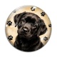 Cabochon Verre - chien