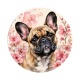 chien