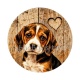 chien