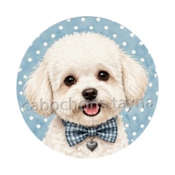 chien