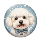 Cabochon Verre - chien