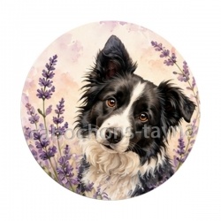 chien