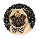 chien