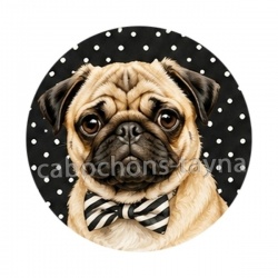 chien