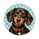 chien