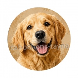 chien