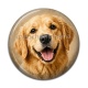 Cabochon Résine - chien
